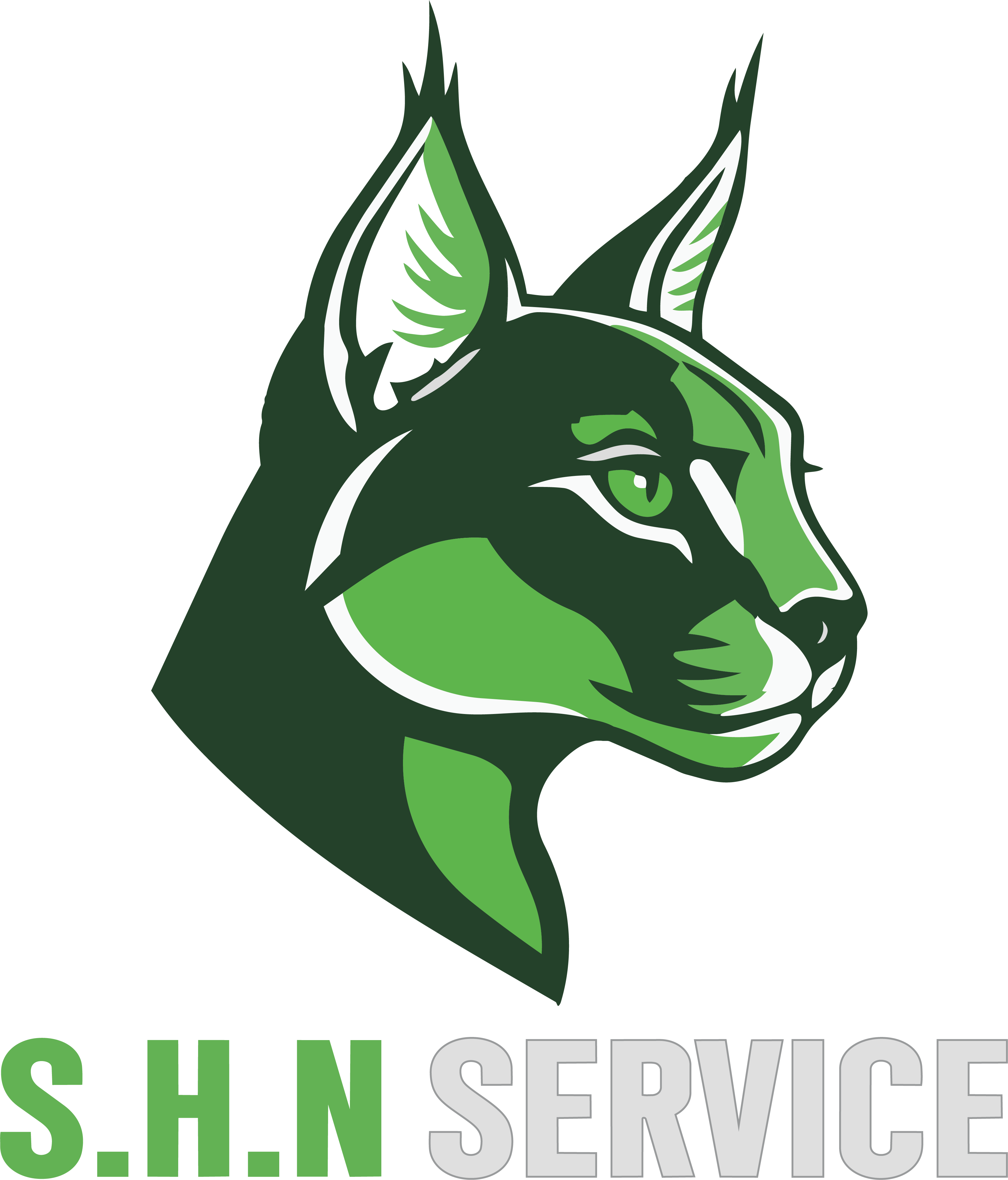S.H.N Service logo